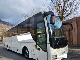 Man Lion's Coach