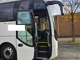Man Lion's Coach
