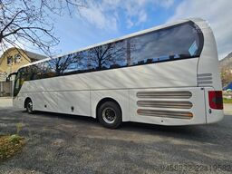 Man Lion's Coach