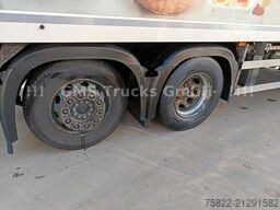 MERCEDES-BENZ Antos 2543 / Frigo Cool / Load 14,3ton