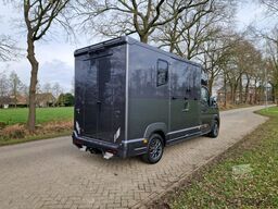 Renault Master MTM S3 EXCLUSIVE ! Nieuw model paardenwa...