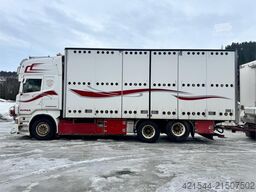 Scania R620 6x2 Livestock Transport Truck with Limetec Dr