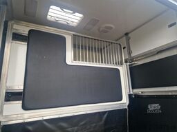 Opel Movano Occasion paardenwagen STX S3 Pro-Safety ...