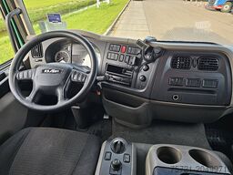 DAF LF 210