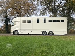 Volvo FH Occasion paardenvrachtwagen Roelofsen specia...