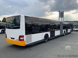 MAN A 23 Lion´s City