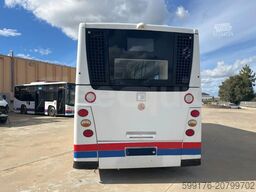 BredaMenarinibus Vivacity