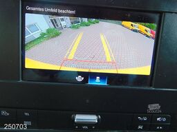 MERCEDES-BENZ Sprinter 314 CDI KLIMA-KAMERA-REGALSYSTEM