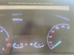 FORD Transit Kasten 350 L4 H3Trend,MIXTO,Navi,Leder