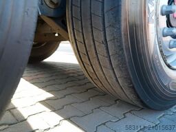 WIELTON FIRANKA / STANDARD / SAF 