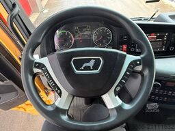 MAN 26.480 TGX BL 6x2 Ladekran Palfinger PK 21001 L