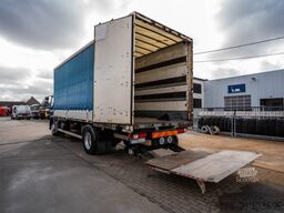 RENAULT PREMIUM 270 DXI +DHOLLANDIA