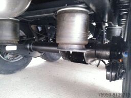 SCHWARZMÜLLER PowerLine LIFT/LENKACHSE HUBDACH 5880kg NEU