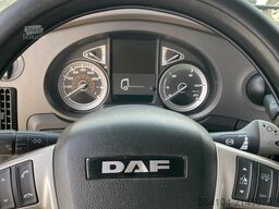 DAF XF 480