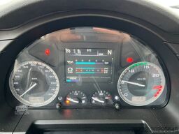 IVECO S-WAY 490/BAUSTOFF/KRAN PALFINGER ODER FASSI