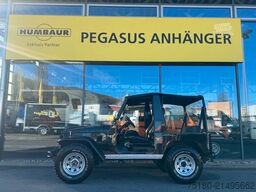 TOYOTA Delta Mini Cruiser Geländewagen Oldtimer H- Kz.