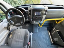 MERCEDES-BENZ Sprinter 313 Cdi Maxi Flex-i-Trans 9 Sitze+Lift