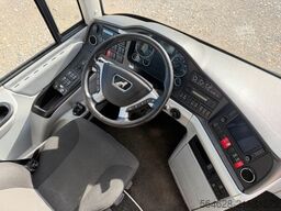 MAN R08 Lion?s Coach