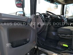 DAF XF 530 Retarder Standklima 2-Tanks Navi Euro 6