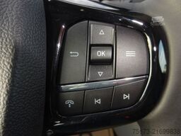 FORD Tourneo Custom Sport 320 L1 AWD Stndhz Matrix