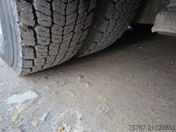 SETRA S419 UL Reisebus/Überlandbus, 69+2+1,ZF Inatrder