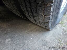 SETRA S419 UL Reisebus/Überlandbus, 69+2+1,ZF Inatrder