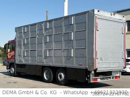 MAN TGS 26.440 *Finkl 3Stock*Waage*Lenk+Lift*TÜV Neu