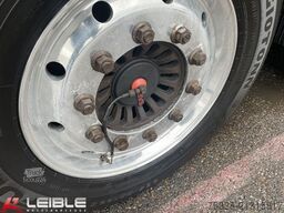 DINKEL DSAPP*Tautliner light*Stapleraufnahme*Pal-Kasten