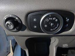 FORD Transit Kasten Trend 310 L3H2 GRA SHZ DAB