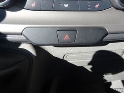 FORD Transit Kasten Trend 310 L3H2 GRA SHZ DAB