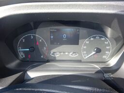 FORD Transit Kasten Trend 310 L3H2 GRA SHZ DAB