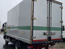 MAN TGL 12.240 4x2 BL Rohrbahnen MEAT Thermo King