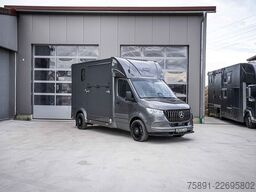 Mercedes-Benz Sprinter 317 Pferdetransporter Hengst
