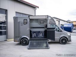 Mercedes-Benz Sprinter 317 Pferdetransporter Hengst