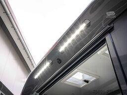 Mercedes-Benz Sprinter 317 Pferdetransporter Hengst