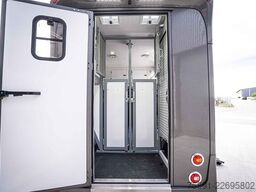 Mercedes-Benz Sprinter 317 Pferdetransporter Hengst