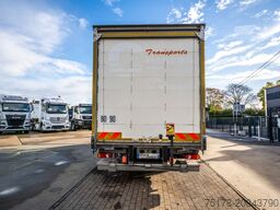 RENAULT D WIDE 250 DXI (12T)+DHOLLANDIA