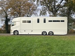 Volvo FH Occasion paardenvrachtwagen Roelofsen specia...