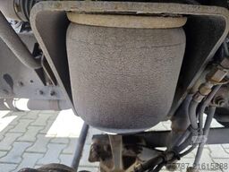 MAN 15.290 BDF, 2 x Bett, Klima, Standheizung