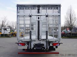 MAN TGX 26.470 tow truck / NEW galvanized