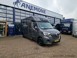 Renault Master paardenwagen Pro-Safety hengsten uitvoer...