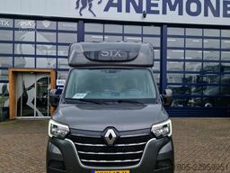 Renault Master paardenwagen Pro-Safety hengsten uitvoer...