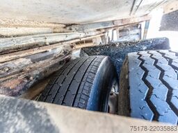 TRACON UDEN CITYTRAILER + DHOLLANDIA