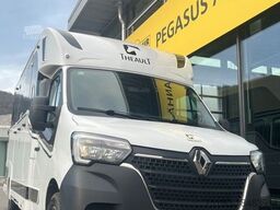 RENAULT Master Theault Proteo Pferdetransporter 5 Sitz