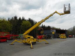 Teupen Leo 25 T plus