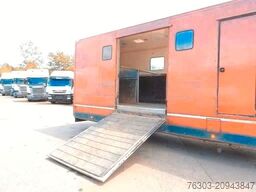 RENAULT Pferdetransport  Koffer*H Kennzeichen*