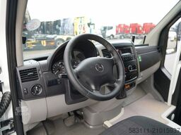 MERCEDES-BENZ SPRINTER 516 BLUETEC /  SPROWADZONY
