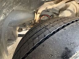 SCANIA R490*E6c*Retarder*Zweikreishydraulik*Navi*Klima*