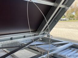 Saris K3 306 170 3500 3-Seiten Kipper E-Pumpe