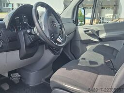 Mercedes-Benz Sprinter 316 CDI Kastenwagen Maxi Lang und Hoch